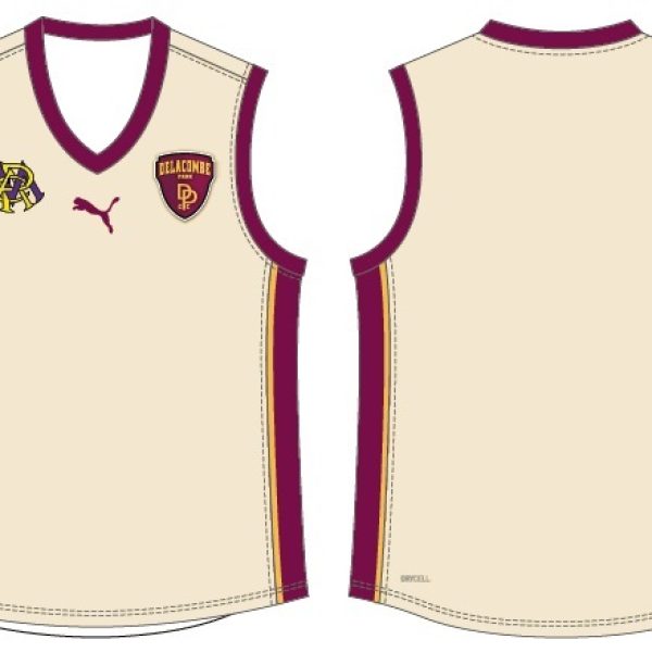 Delacombe Park CC Two Day Vest