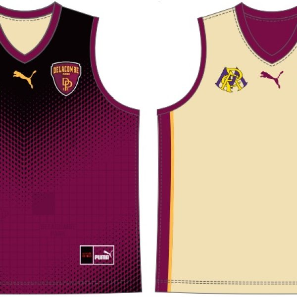 Delacombe Park CC Reversible VEST