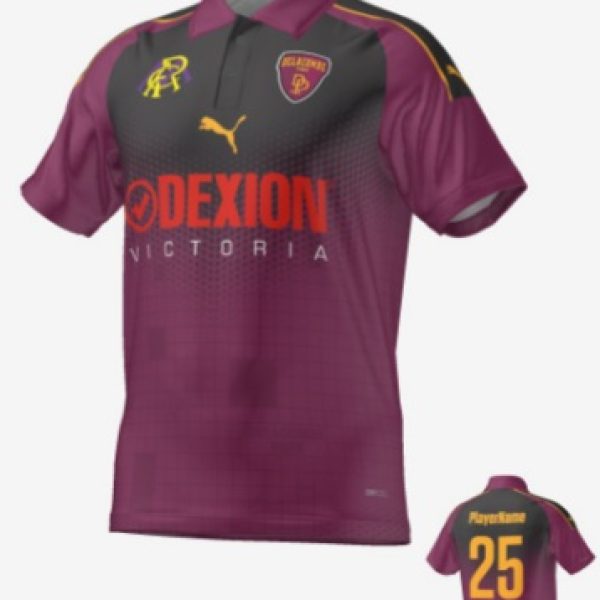 Delacombe Park CC Short Sleeve One Day Polo
