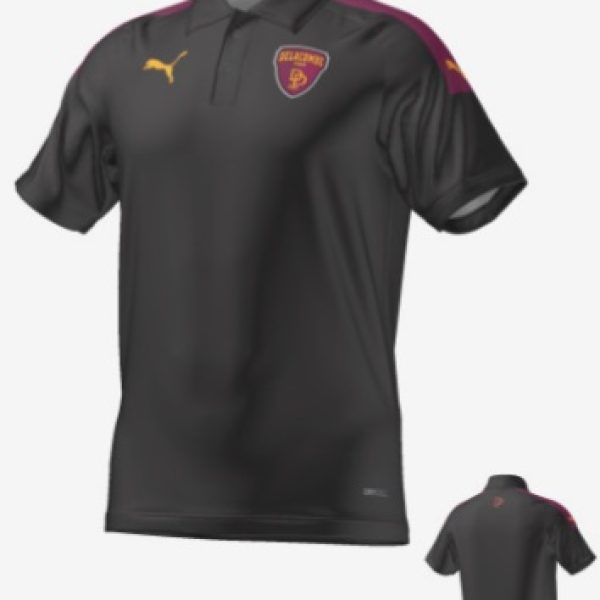 Delacombe Park CC Team Polo