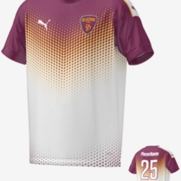 Delacombe Park CC Training Tee